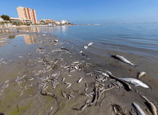 El desarrollo socioeconómico y medioambiental de la Región de Murcia en alerta