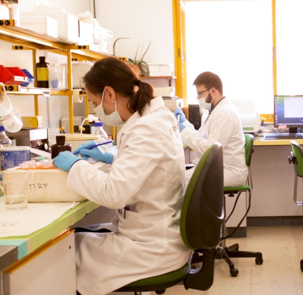 La compañía yeclana Graphenano, pionera mundial en introducir el grafeno en tratamientos cosméticos y dermatológicos