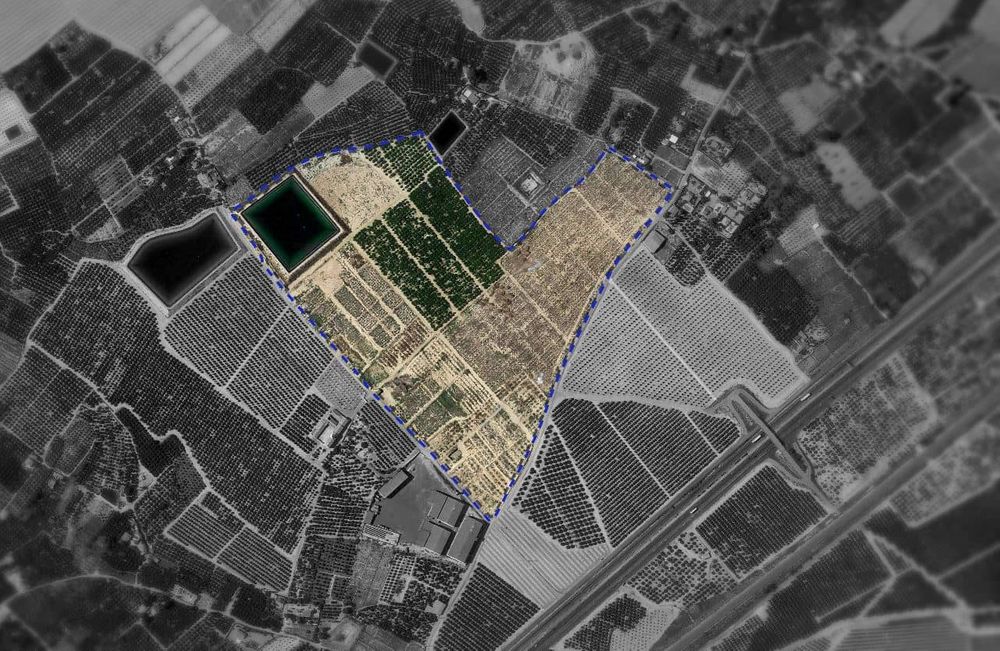 Destilerías Muñoz Gálvez inmersa en la construcción de su nueva fábrica en Librilla