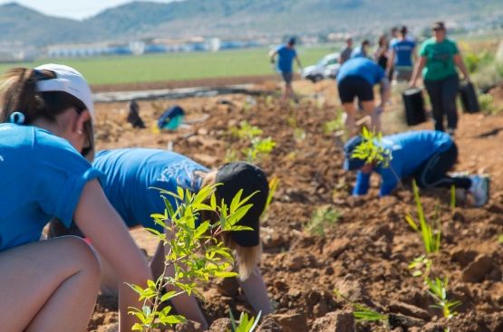 Hidrogea y el Ayuntamiento de Cartagena apuestan por la reforestación de 4.500 árboles