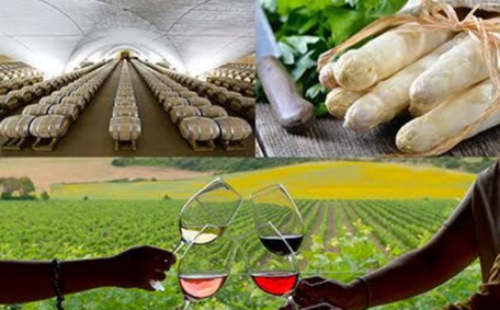 Pamplona acogerá el IV Congreso Internacional de Turismo Gastronómico