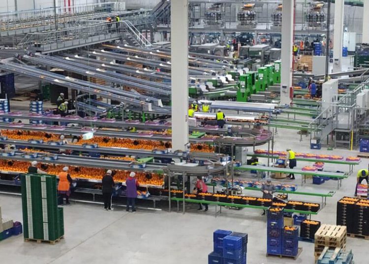 GPF Capital vende a Fremman parte del holding citrícola The Natural Fruit Company