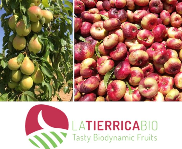 La consultoría CEDEC colabora con FRUTAS GARCÍA VARGAS y su marca de productos ecológicos LA TIERRICA BIO