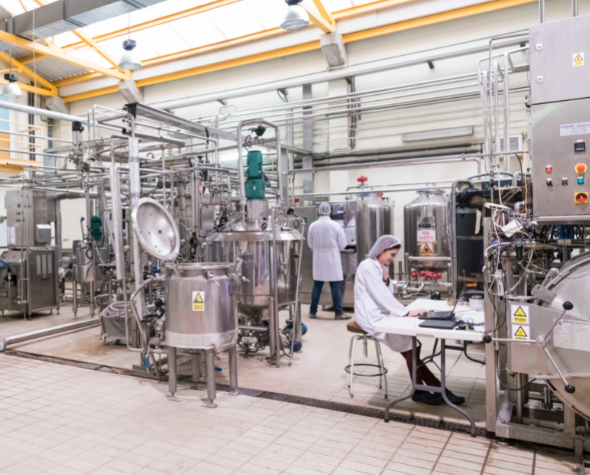 El CTNC investiga el tratamiento de las aguas residuales de aceitunas de mesa