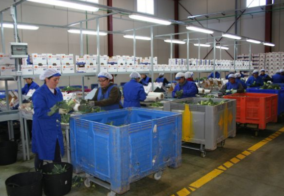 En la Región se crea una media de 8,2 empresas al día