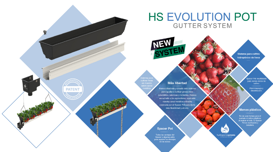 HS Evolution Pot llega para revolucionar el cultivo de fresa en sustrato personalizado