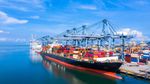 Las exportaciones de los productos murcianos se consolida