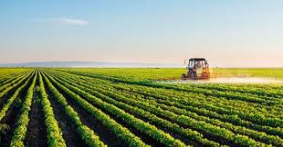 Agricultura y Alimentación