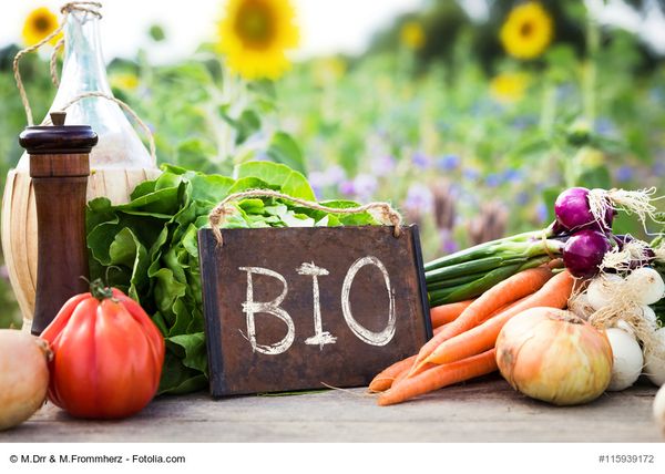 La agricultura ecológica en la Región de Murcia, recibirá 14 millones de euros en 2021