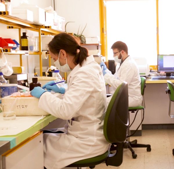 La compañía yeclana Graphenano, pionera mundial en introducir el grafeno en tratamientos cosméticos y dermatológicos