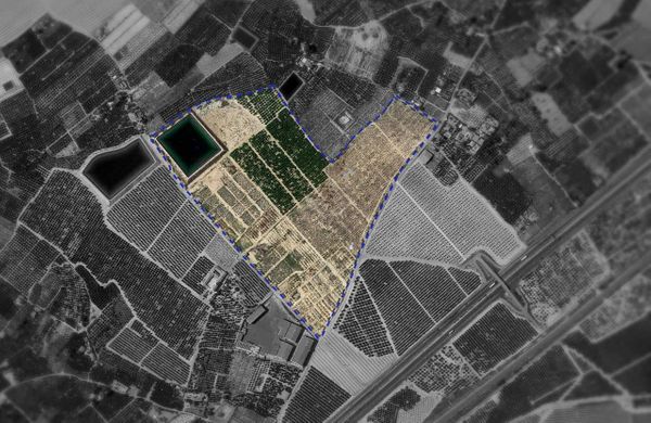 Destilerías Muñoz Gálvez inmersa en la construcción de su nueva fábrica en Librilla