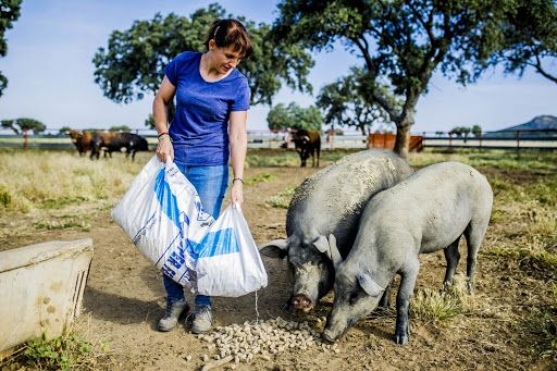 Cefusa potencia el papel de la mujer ganadera en puestos de responsabilidad