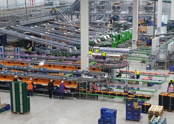 GPF Capital vende a Fremman parte del holding citrícola The Natural Fruit Company