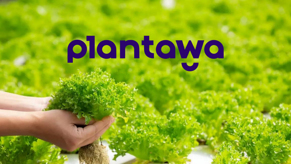 Plantawa, la empresa que busca convertir la agricultura en un estilo de vida