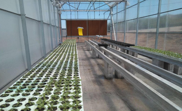 La industria de invernaderos integrada en FREMM promueve la marca “Invernadero sostenible”