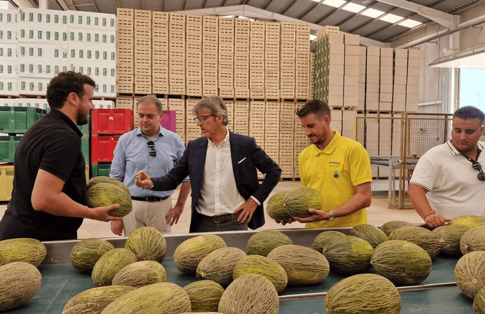 La CARM facilita más de tres millones de euros en créditos a empresa agroalimentarias para generar y mantener 154 empleos