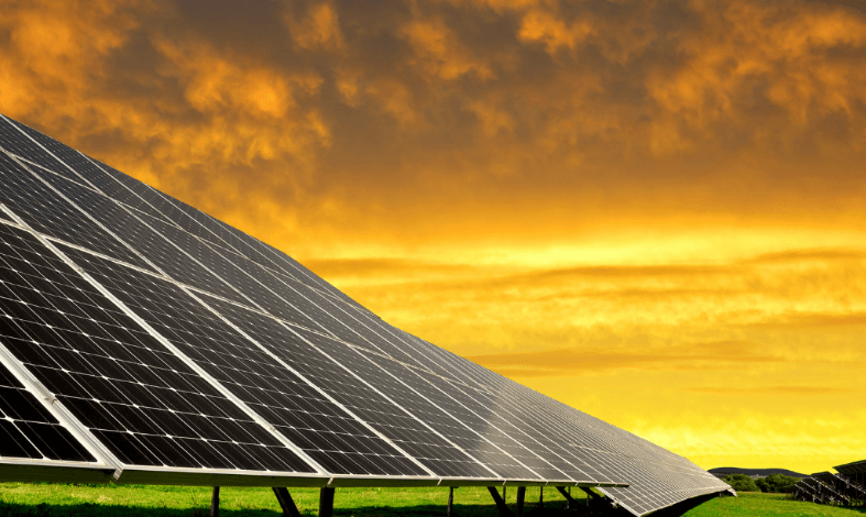 CETENMA fomentará la capacitación y creación de empleos verdes que ayuden a la descarbonización de la economía española